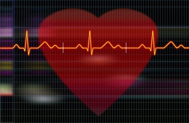  γραφική απεικόνιση της καρδιάς και των ηλεκτροκαρδιογραφικών καταγραφών