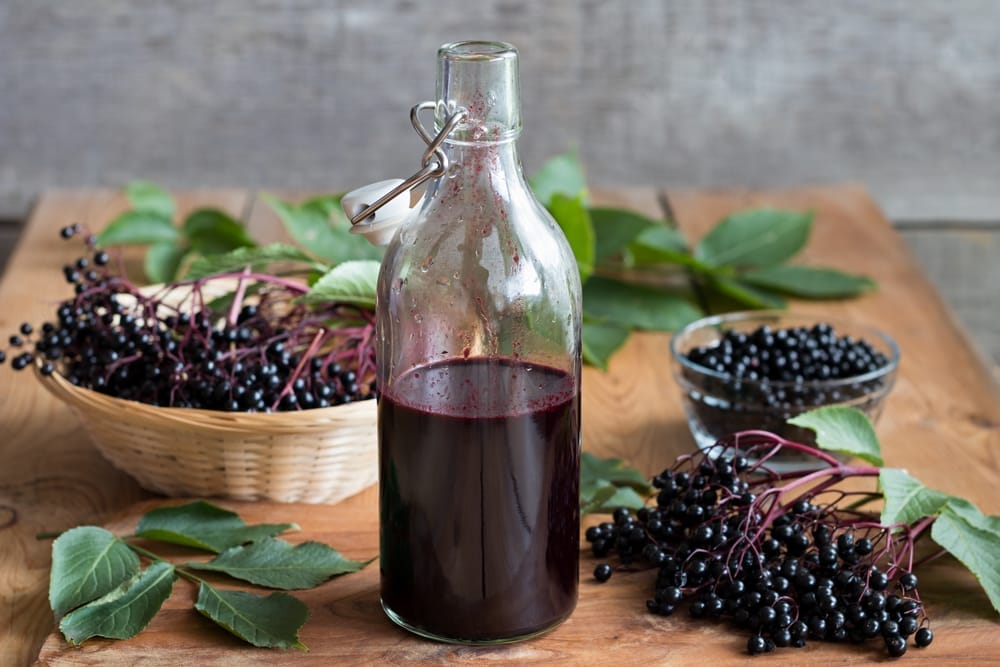  Σιρόπι elderberry σε μπουκάλι, μαζί με φρέσκα elderberries